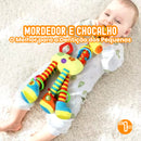 Mordedor e Chocalho para Dentição